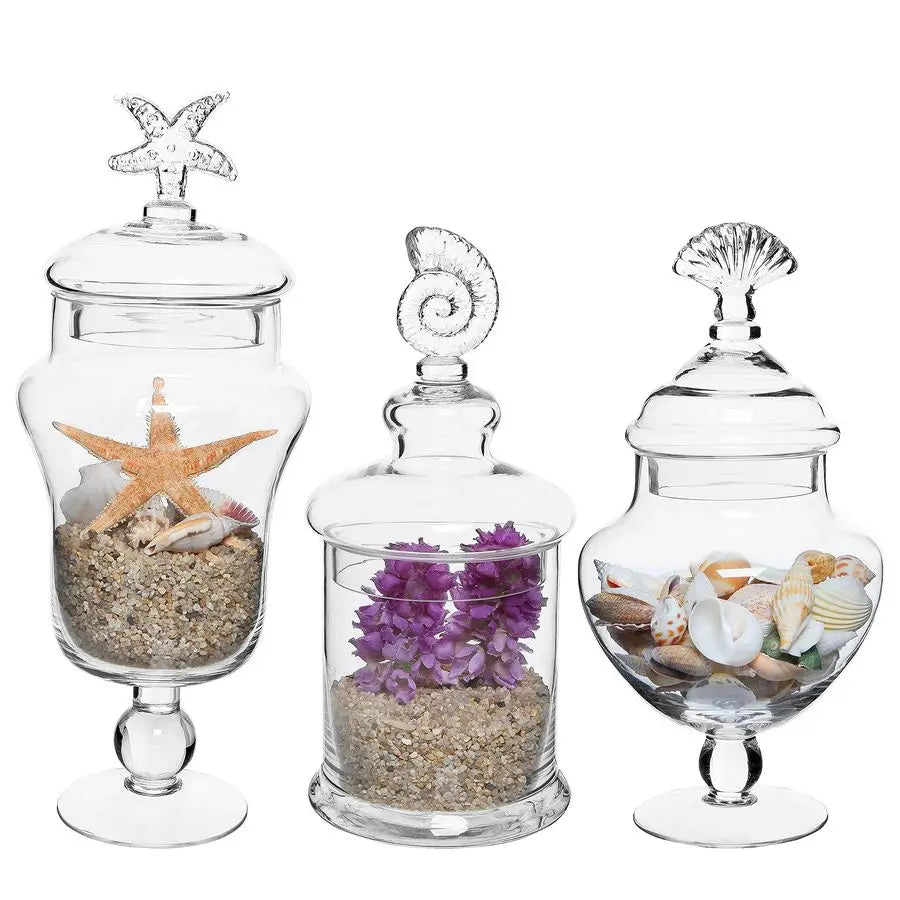 Clear Glass Apothecary Jars with Lid, Decorative Seashell Design Bathroom Canister, Footed Candy Buffet Containers, Set of 3