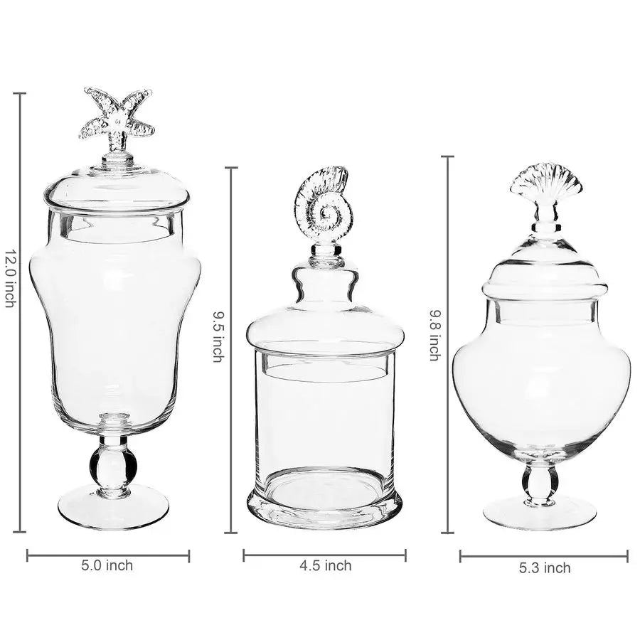 Clear Glass Apothecary Jars with Lid, Decorative Seashell Design Bathroom Canister, Footed Candy Buffet Containers, Set of 3
